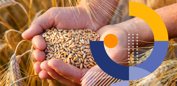 Agence K2 - Unigrains - Investisseur partenaire de l'agroalimentaire